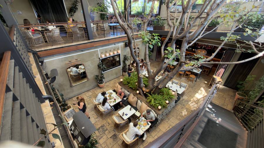 Looking down from the staircase, over the railing, into Mírate's multilevel courtyard built around a large tree, with diners seated below.